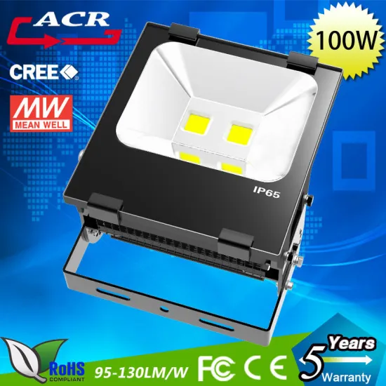 Bridgelux chip high quality 100w led flood lighting led light