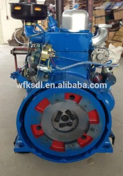 15.6kw 2 cylinder 2000rpm 295C marine diesel engine