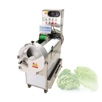 DRB-301 Stainless Steel Vegetable and Fruit Shredding & Slicing Machine