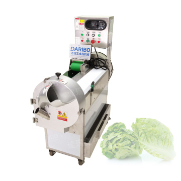DRB-301 Stainless Steel Vegetable and Fruit Shredding & Slicing Machine