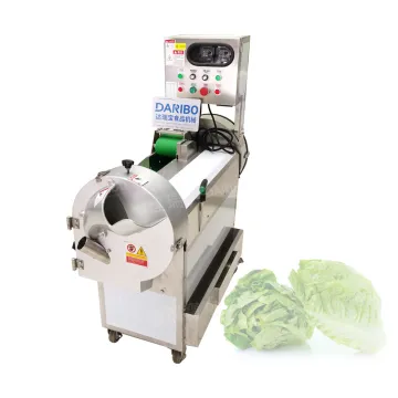 DRB-301 Stainless Steel Vegetable and Fruit Shredding & Slicing Machine