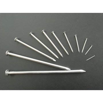 High Quality All Size Common Nail