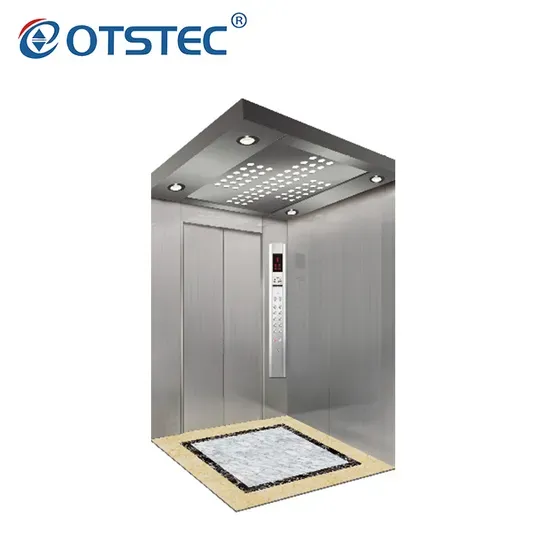 Gearless Hairline Stainless Steel Passenger Elevator Lift