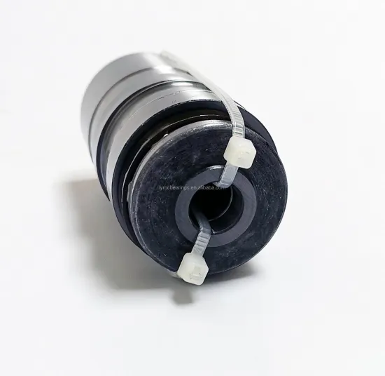 Tandem Bearings F-53579.T3AR for Twin Screw Extruder Gearboxes