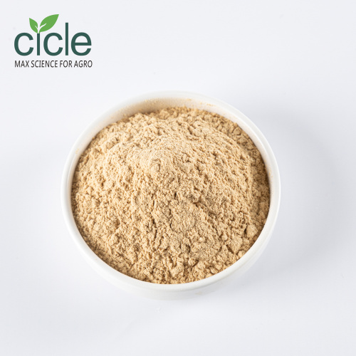 Nature Tea Saponin Powder