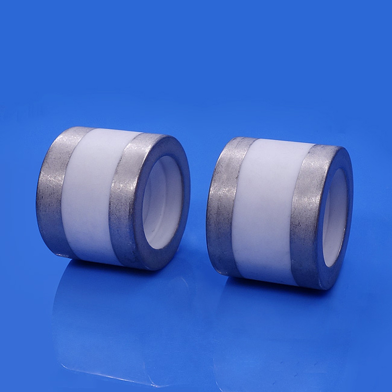 Glazed Alumina Metallized Ceramics for Electrical Components