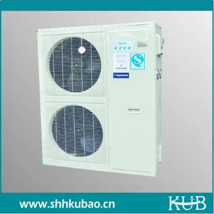 Cold Storage Cooling System: Cold Room Refrigeration Solutions