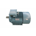 Motor for Rice Mill