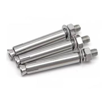 AISI304 Stainless Steel Anchor bolt low price