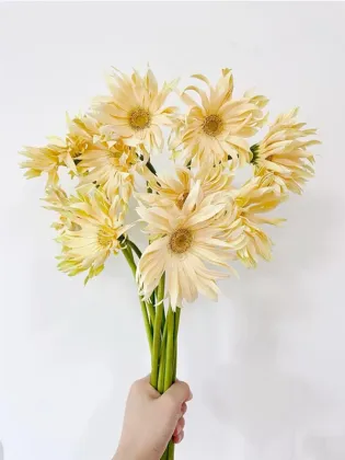 Shangri-La Gerbera roll edge