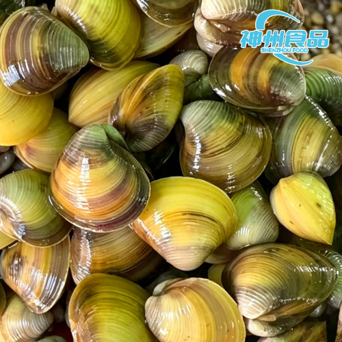 Vongole selvatiche e carne congelata al naturale