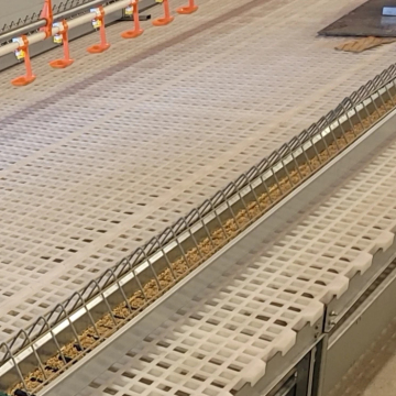 Chicken Broiler Poultry Farm Equipment: Plastic Slate Flooring