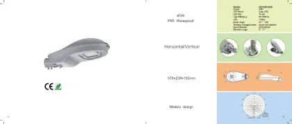 Economic price 30W/45W Stree light-Hot sale