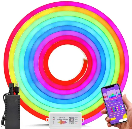 Waterproof IP66 RGB Flexible LED Holiday Lights (Blue/Yellow) - 220V/110V/12V/24V