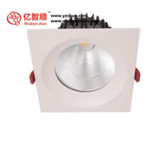 Cheap Wholesale LED Recessed Downlight COB LED Downligh