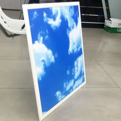 Led Artificial Skylight Panel: Customized Recessed Skylight Board Ceiling Lights