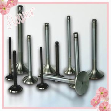 Hot sale!!! valve for agricultural diesel engine