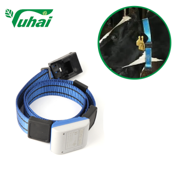 Plastic belt Provides animals walk Data Woven belt