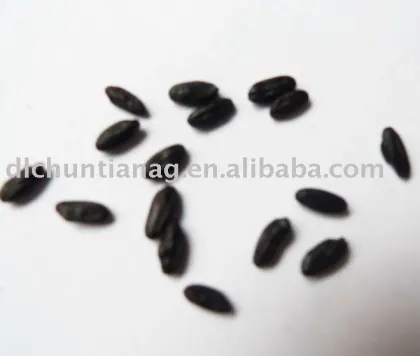 steamed/roasted black rice (organic or common)