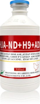 Newcastle Disease AIH9 FAdV-4 Inactivated Vaccine