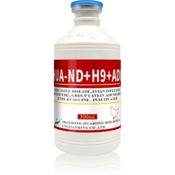 Vaccin inactivat ND AI H9 și FAdV-4