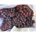 Uva rossa fresca nello Yunnan