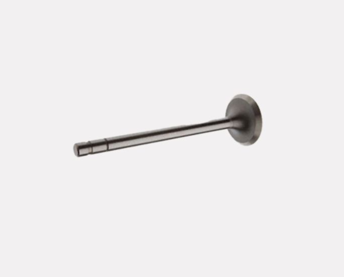 Exhaust Valve 20441945 for Engine Systems