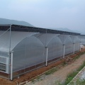 /msite/products/detail/productid/64675281/id/1577583.html