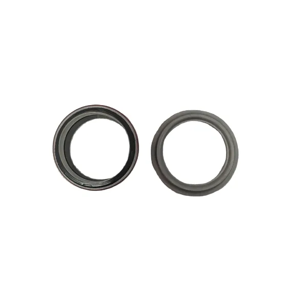 Original QSB5.9 Engine Parts: Front Main Crankshaft Oil Seal Kit (3802820)