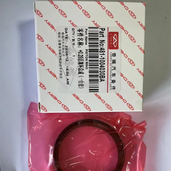 Chery Models 481FD-1004030BA with Extra Rings and Pistons