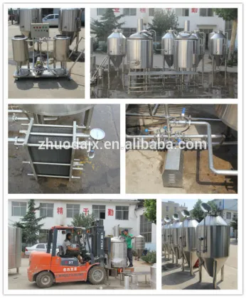300l craft beer brewing equipment