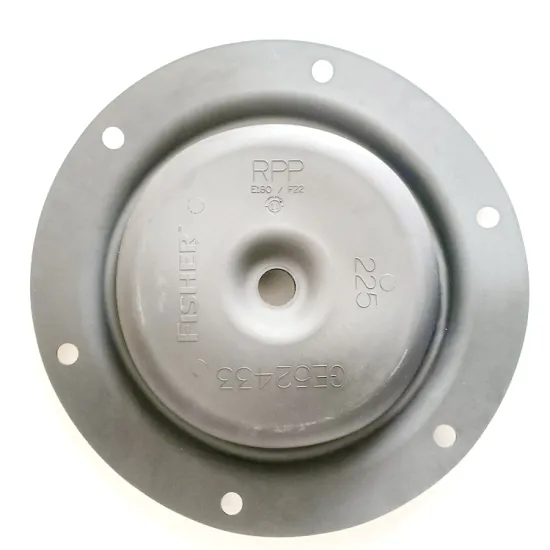 Control Valve Diaphragm and Actuator Parts: Fisher GE52433 Diaphragm, Gaskets & Seals