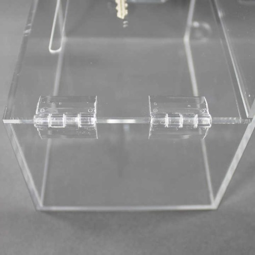 Plastic lock menoy storage collection acrylic box