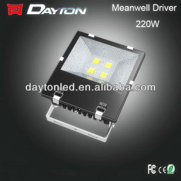 Europe market 220w led stand flood light for your project,standing flood light bulbs