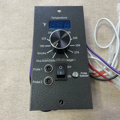 Traeger Digital Pro Controller Reviews and Buying Guide