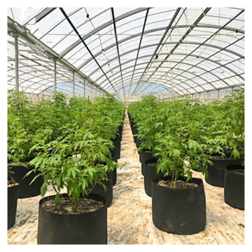 MYXL Agricultural Greenhouse Tunnel - Polycarbonate Plastic Hydroponics System for Vegetables, Fruits, and Flowers