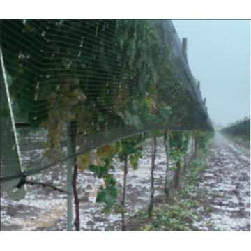 農業耕作植物のための反あられの網