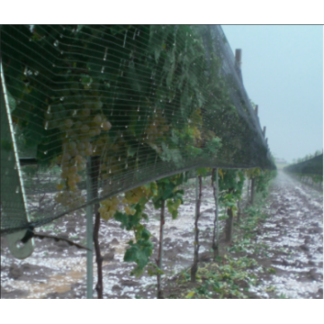 Rete agricola contro la grandine delle piante agricole di agricoltura