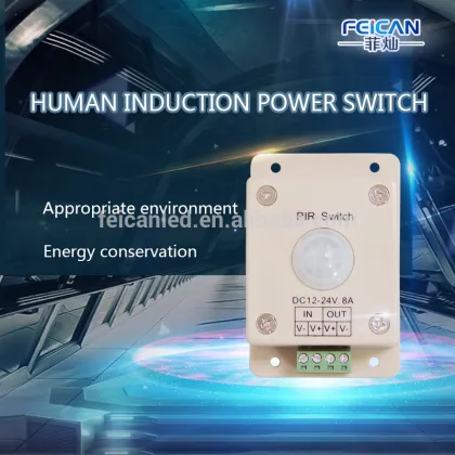 Human body Induction delay Power Switch
