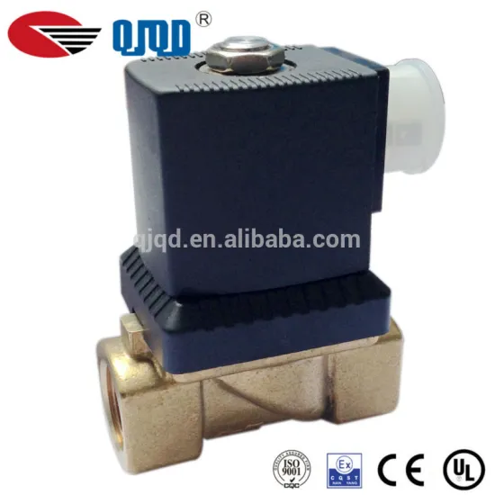 Water Solenoid Valve AC 220V Guide Tpye Pilot Diaphragm