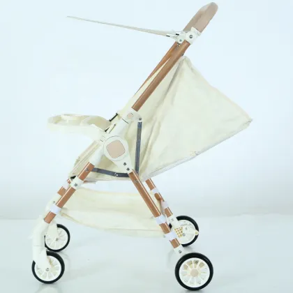 Lightweight Stroller with Serving Plate