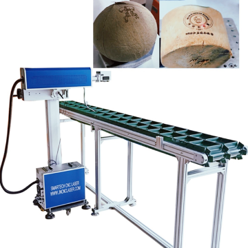 Best Sale CO2 Laser Engraving System for Coconut Visual Laser Marker