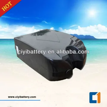 E-Bike E-scooter LIFEPO4 LI-FE battery 24v 10ah