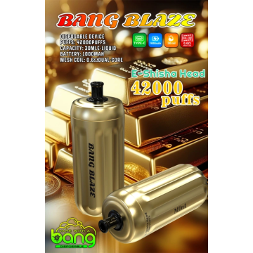 Bang Blaze 42K Puffs Disposable Vape Germany wholesale