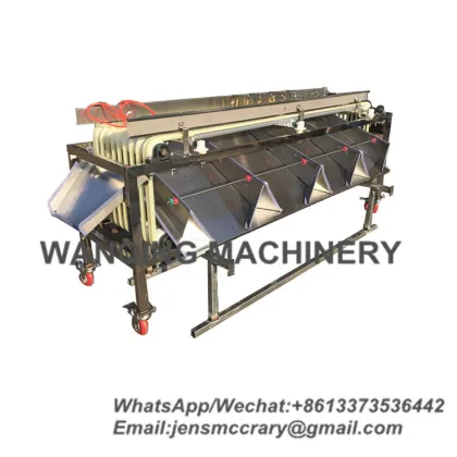 5 Grade Sorting Machine Equipment for Dates, Plums, Oranges, and Avocados