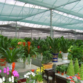 Wholesale Outdoor Agricultural Sun Shade Net