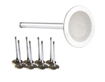 Engine Intake Manifold Valve