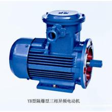 Explosion-Proof Motor