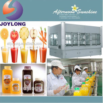 Turn key project mandarin papaya fresh fruit juice processing line