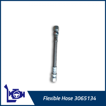 3065134 4VBE34RW3 ống linh hoạt